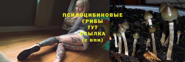 бутират Вязьма