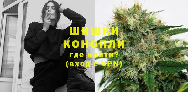 гидра Гусиноозёрск