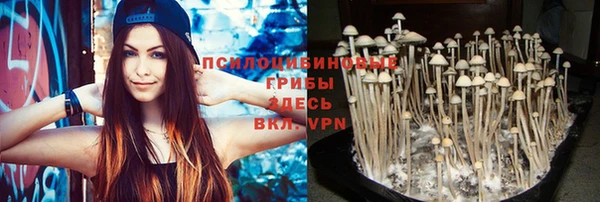 кокс Вяземский