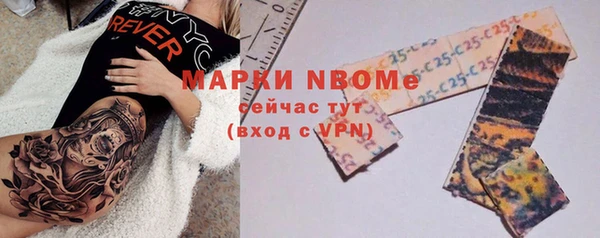 гидра Гусиноозёрск