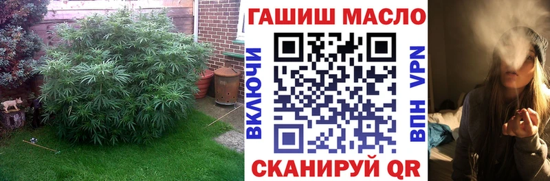 ТГК вейп  Завитинск 