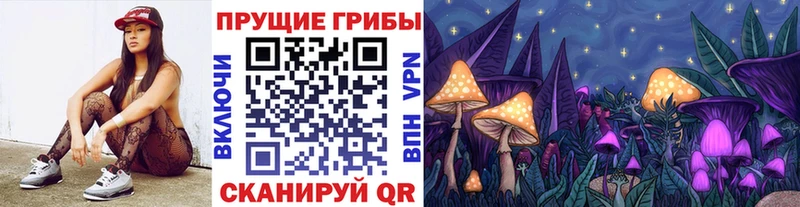 Псилоцибиновые грибы GOLDEN TEACHER  MEGA ССЫЛКА  Завитинск 