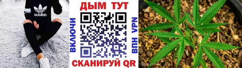 Канабис SATIVA & INDICA  Завитинск 